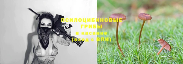 не бодяженный Абинск