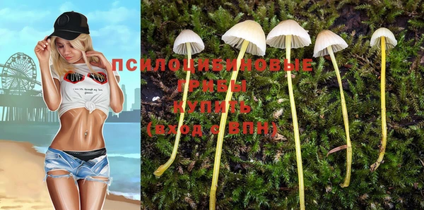 синтетический гашиш Абдулино