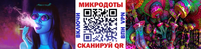 Галлюциногенные грибы прущие грибы  Тотьма 